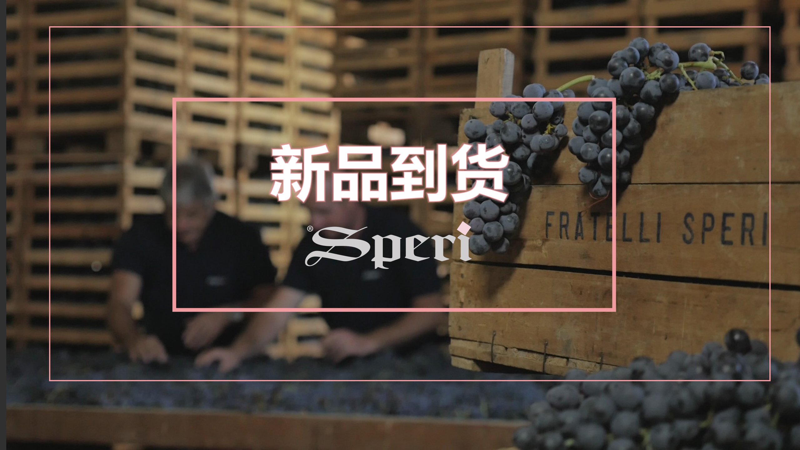 阿玛罗尼新品到货|大红虾三杯奖常客名家